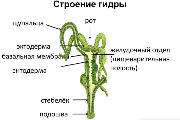 Кракен ссылка на сайт