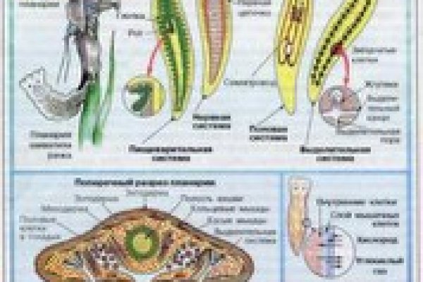 Кракен сайт ссылки актуальные